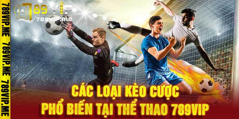 thể thao 789VIP
