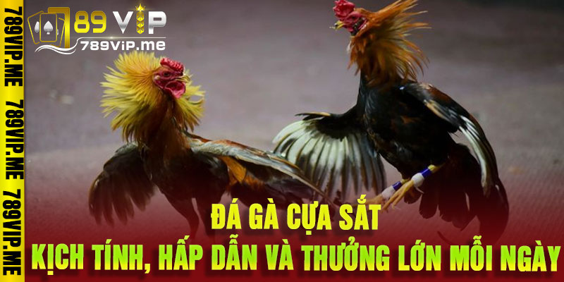 Đá Gà Cựa Sắt
