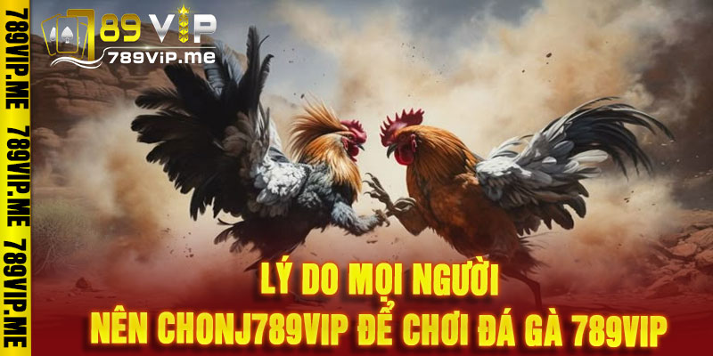đá gà 789VIP