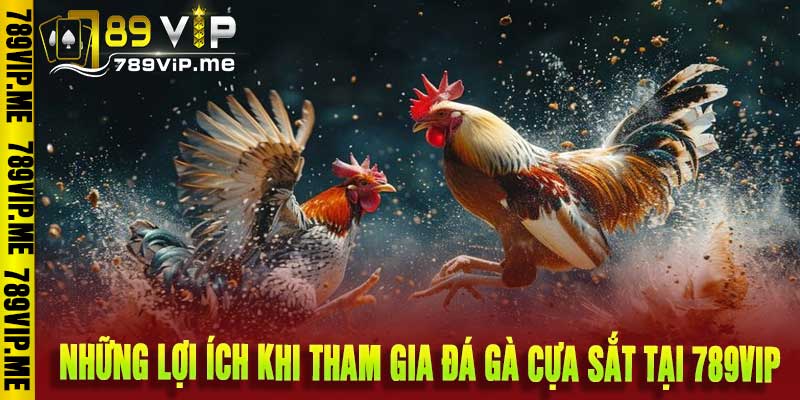 đá gà cựa sắt