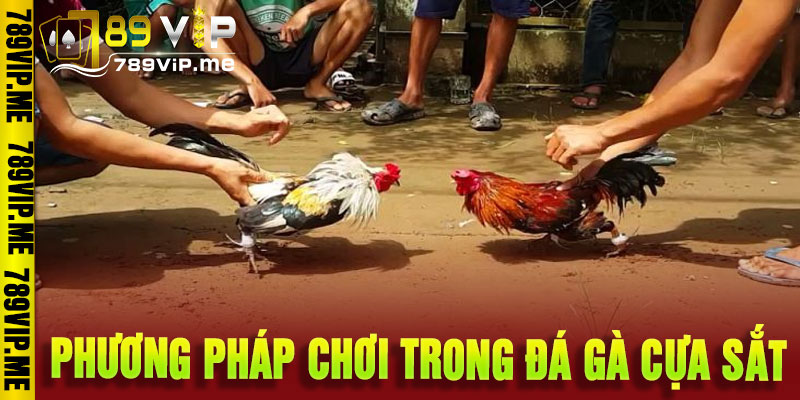 đá gà cựa sắt